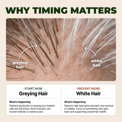 Gray Hair Reversal Drops | Restore Natural Hair Color | Root Activator